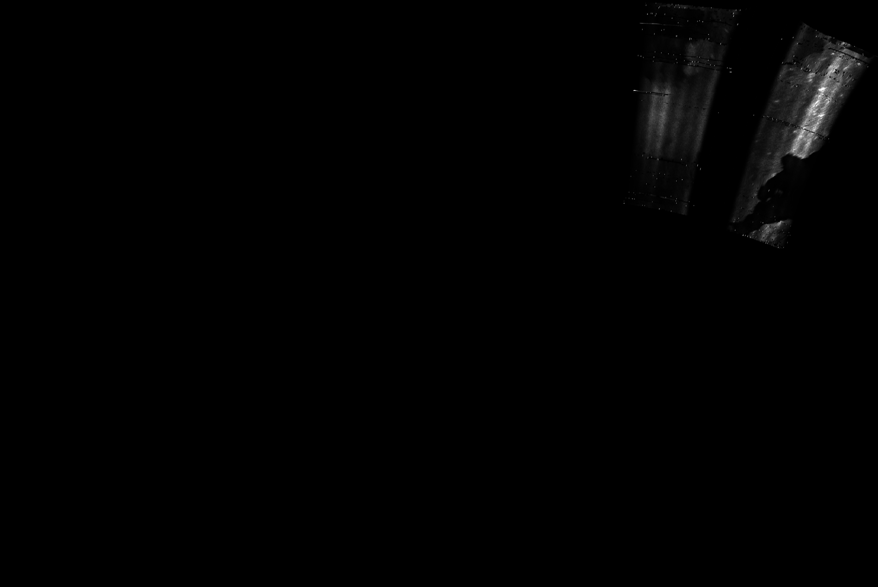 ascat_grayscale_proj_downward.png